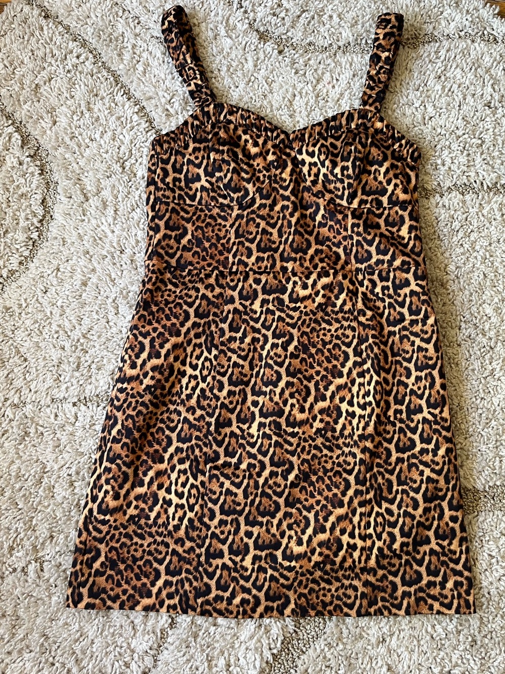 Zara leopard print dress